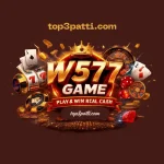 W577 Game